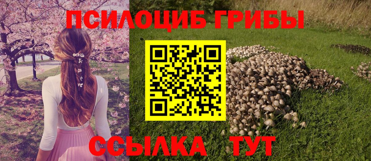 Гашиш  LSD-25  Кирово-Чепецк  МДМА  Бошки Шишки  Меф   Вход с VPN  COCAIN 